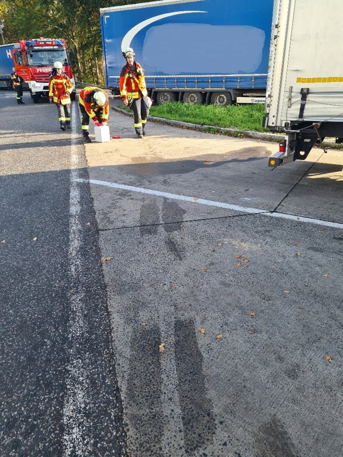 20241021_154008_resized bearbeitet.jpg